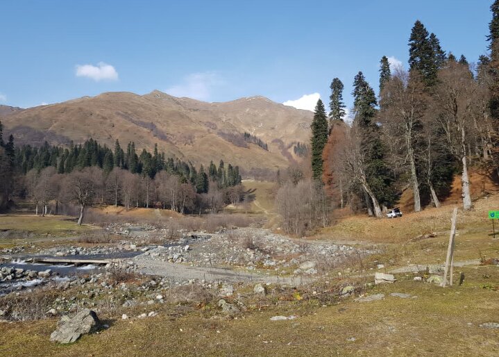 АБХАЗИЯ 2025 НОЯБРЬ - Tata Wolf