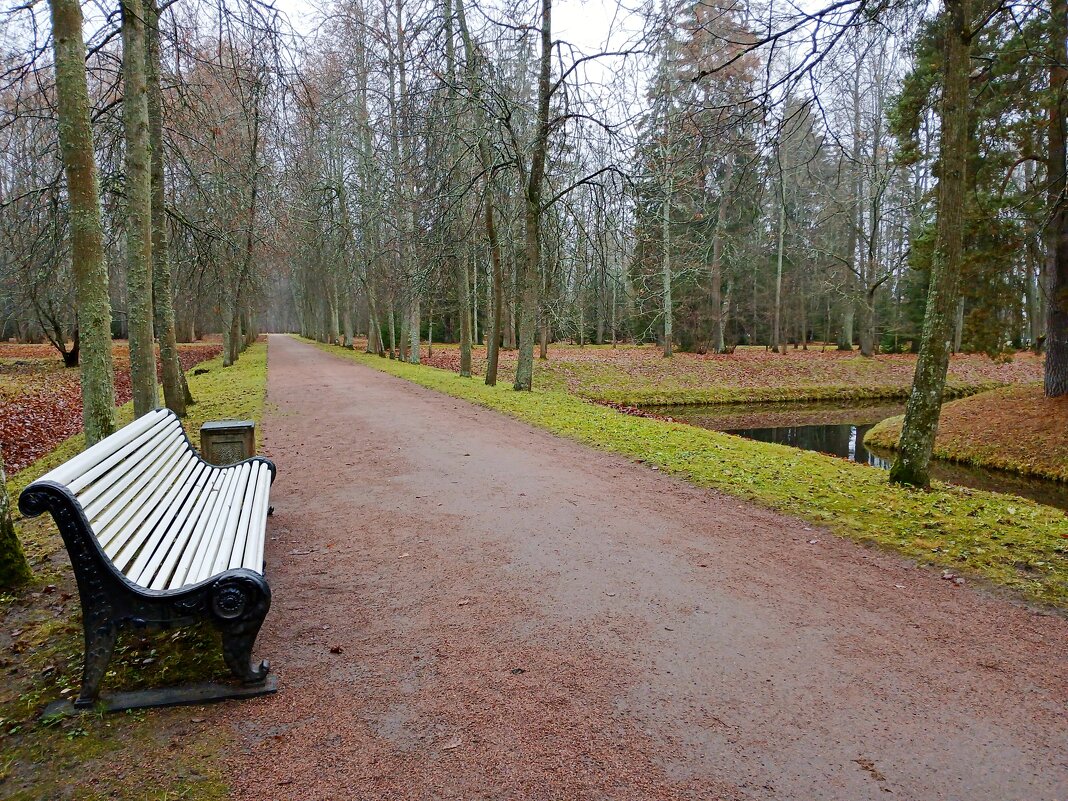 С ноября ничего не изменилось ☺ - Лия ☼ С ноября ничего не изменилось ☺ - Лия ☼