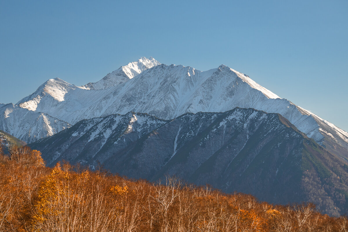 ... - Жора Житников ... - Жора Житников