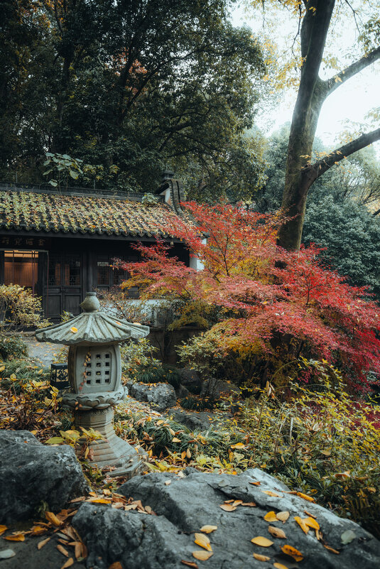 Осенний парк в Ханчжоу - Дмитрий Осенний парк в Ханчжоу - Дмитрий