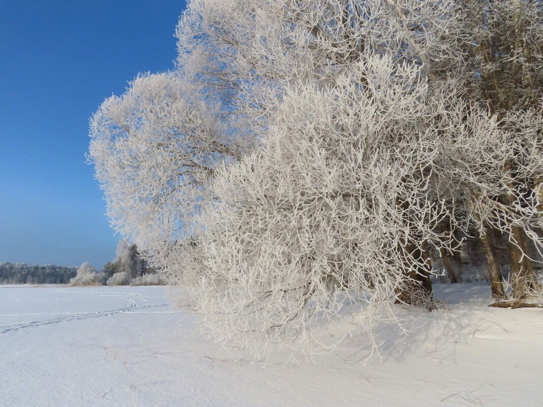 Подморозило - Ольга Митрофанова