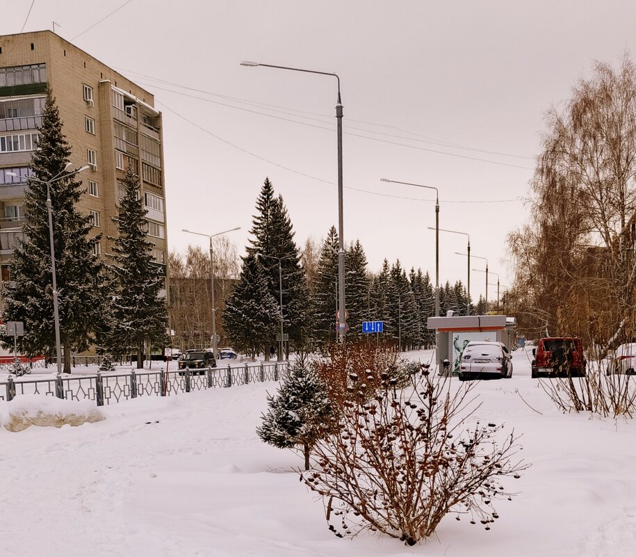 Улица , улица родная ... - Мила Бовкун Улица , улица родная ... - Мила Бовкун