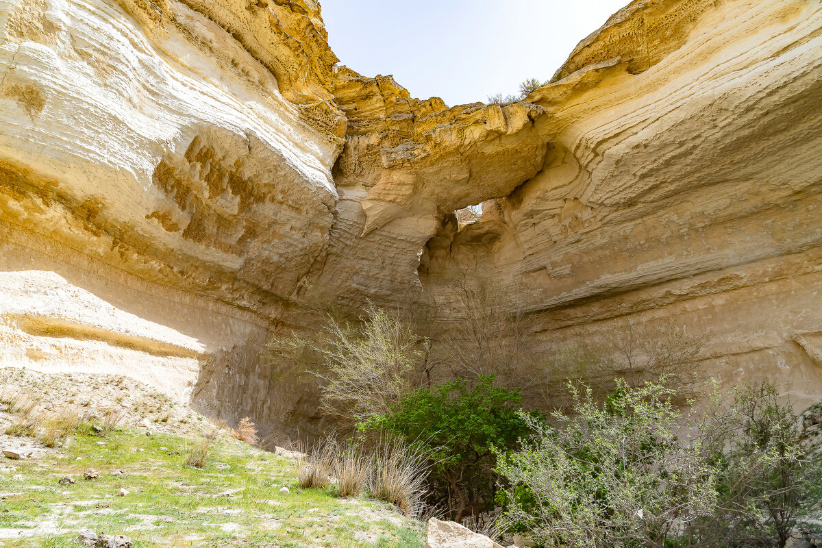 Казахстан. - Андрей Щукин