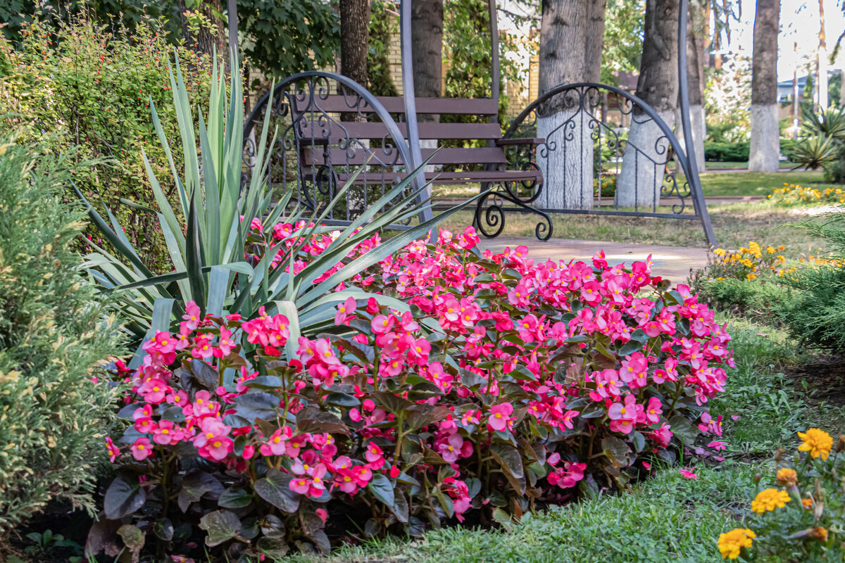 Кисловодск - navalon M