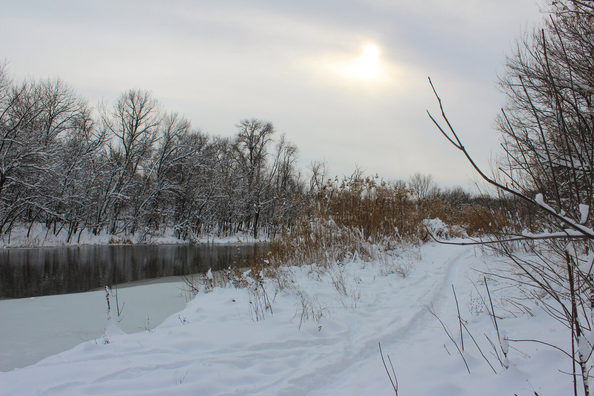 Зима. - Александр 