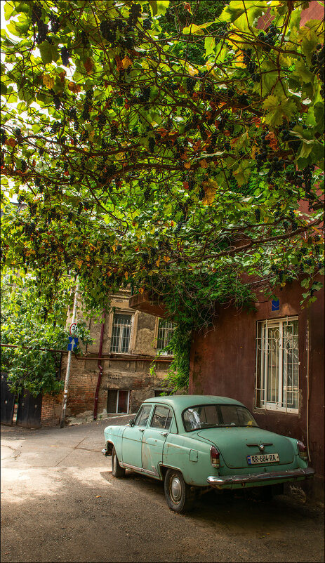 Тбилиси. - Aleks Lebedev Тбилиси. - Aleks Lebedev