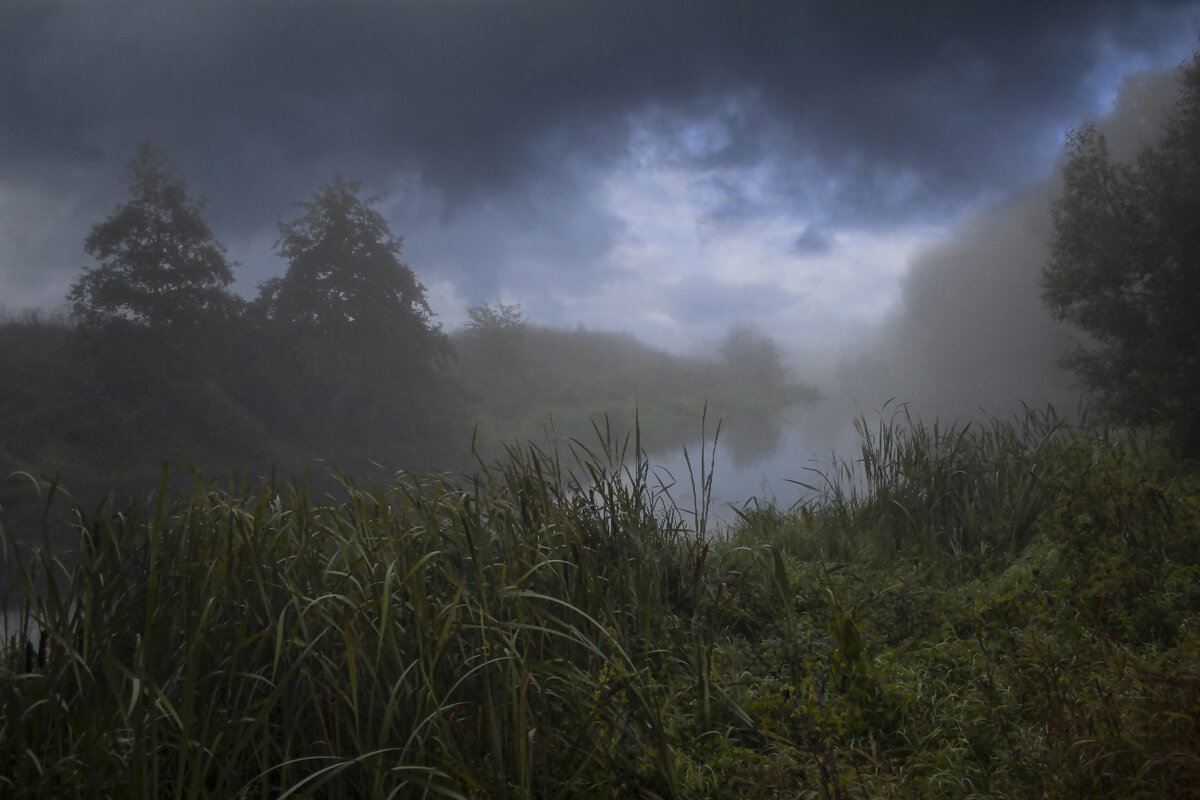 Снова хмурое утро. - Александр. AVG100 ---