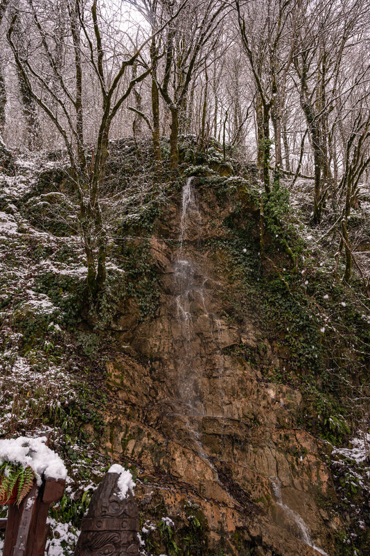 ... - Сергей Яковлев