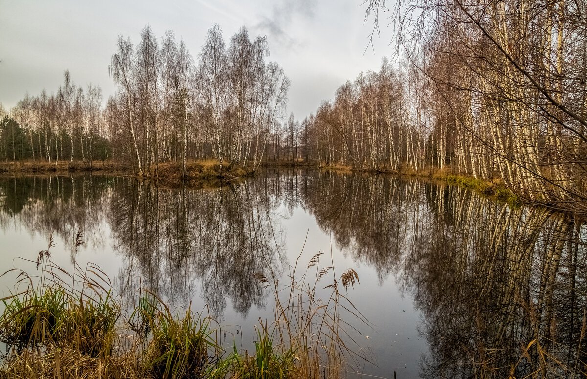 Во такая зима в Подмосковье 6 - Андрей Дворников