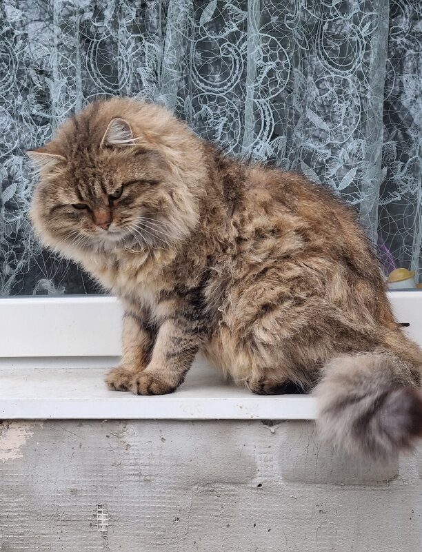 Взгляд на фотографа :) - Наталья Взгляд на фотографа :) - Наталья