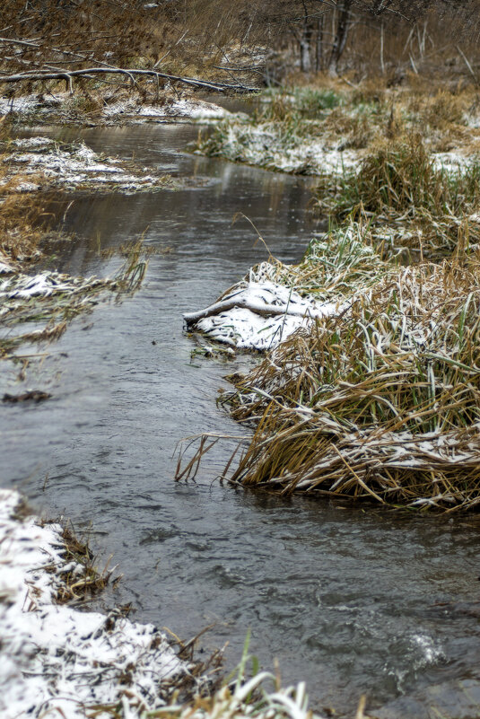 Извилистая речушка - sorovey Sol