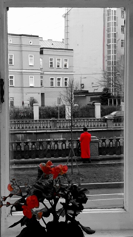 Красное пальто - Наталья Герасимова