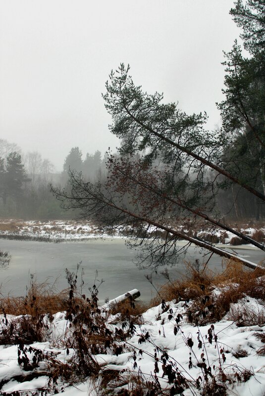 Карелия.Декабрь.Временная оттепель2 - Мария 