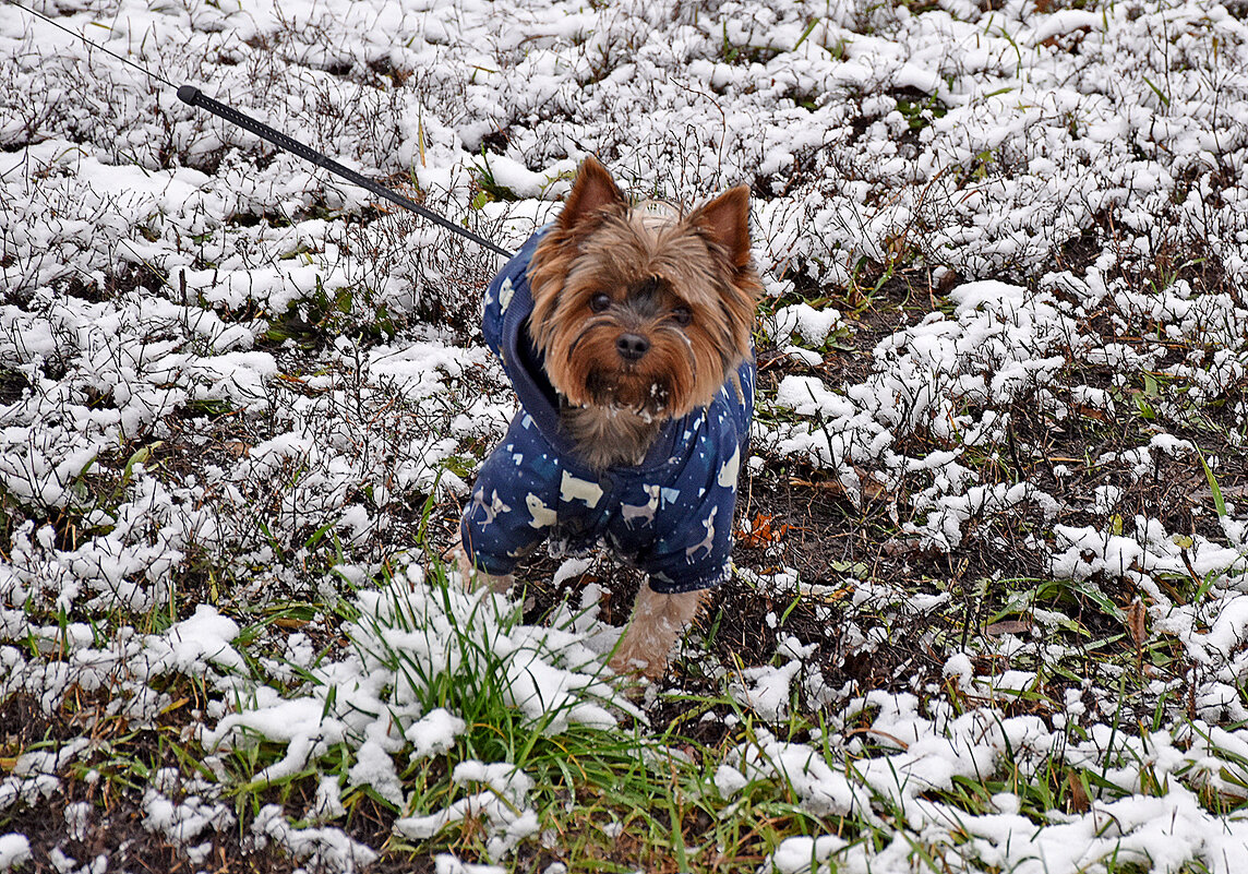 - А что ты делаешь?! - Валентина Нефёдова - А что ты делаешь?! - Валентина Нефёдова