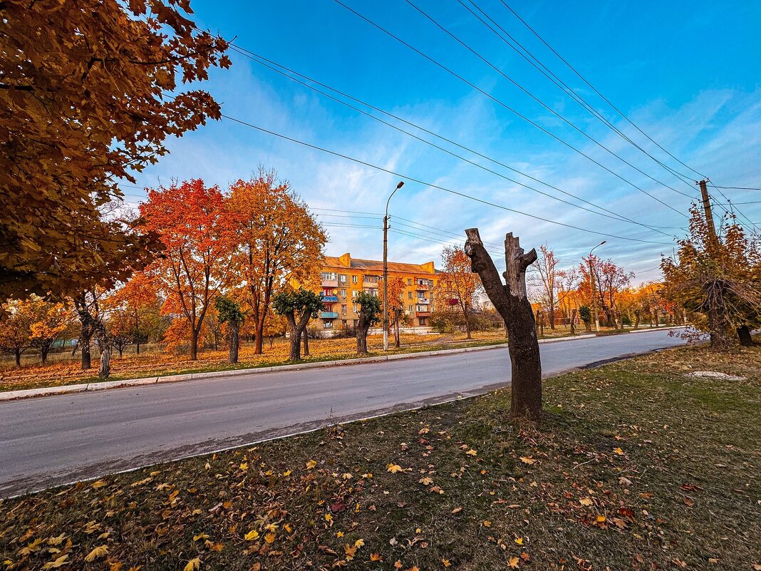 *** - Яна Горбунова