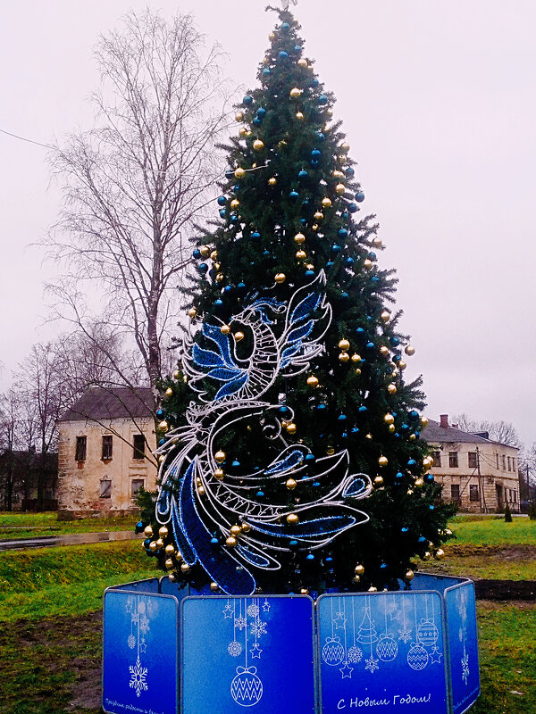 Ёлка в Летнем саду - Сергей Кочнев