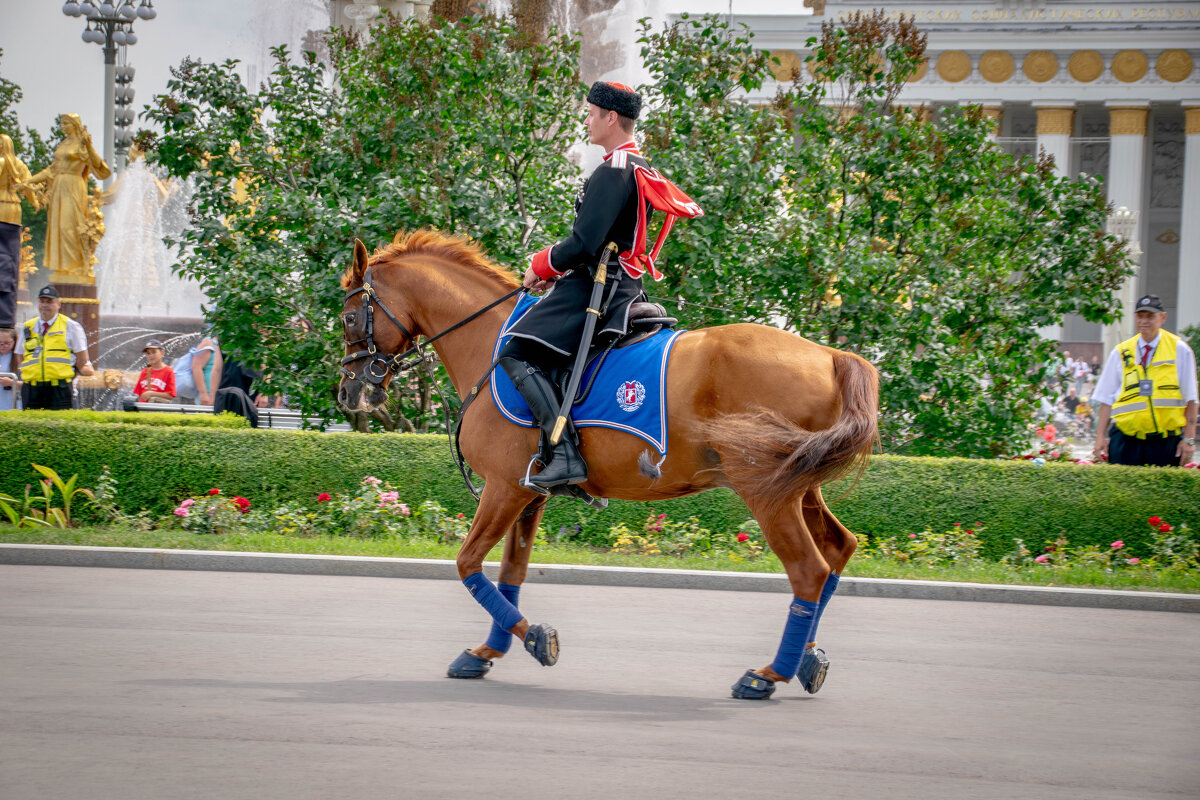 - - Владимир Мигонькин