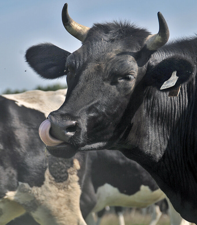 А Вам слабо... )) - Владимир Хиль