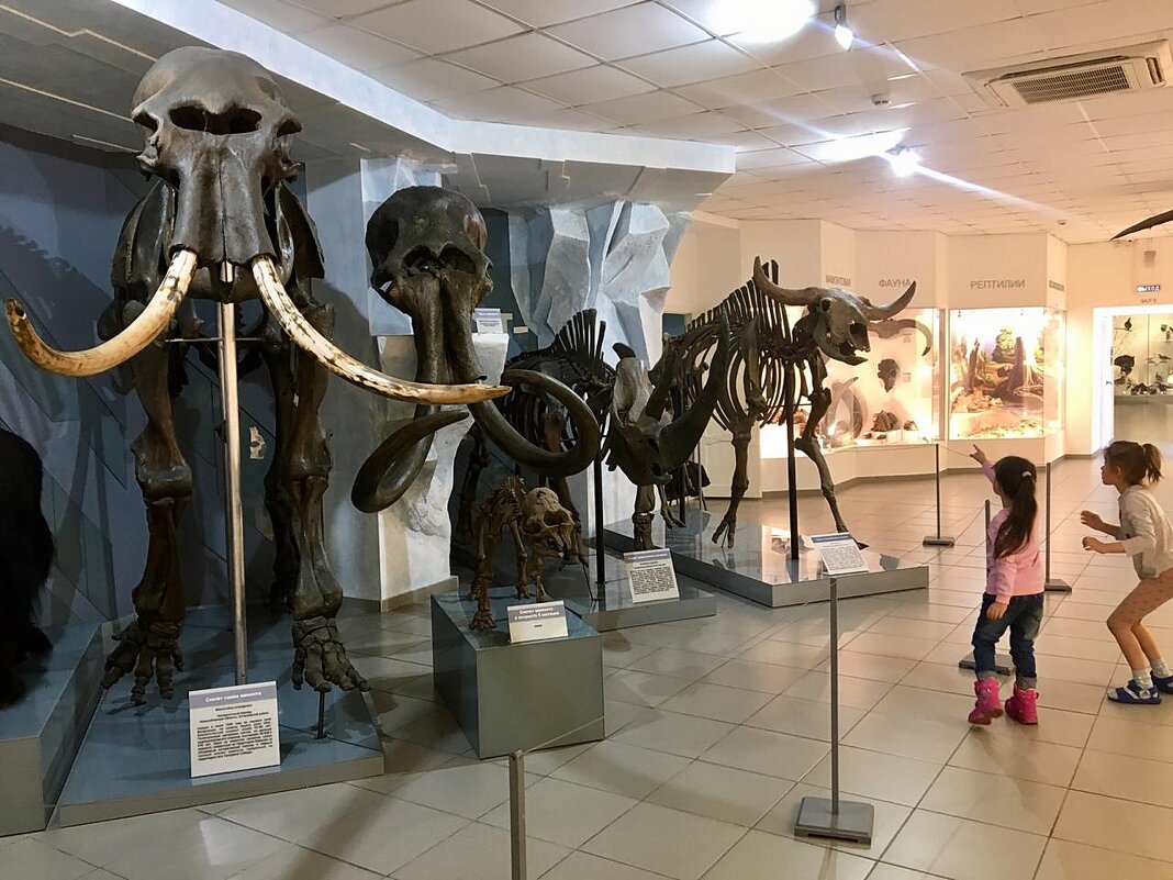 Дети в краеведческом музее - Галина Нестратова Дети в краеведческом музее - Галина Нестратова