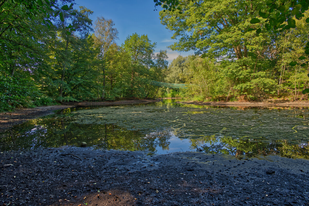 (°-°) - Jakob Dick