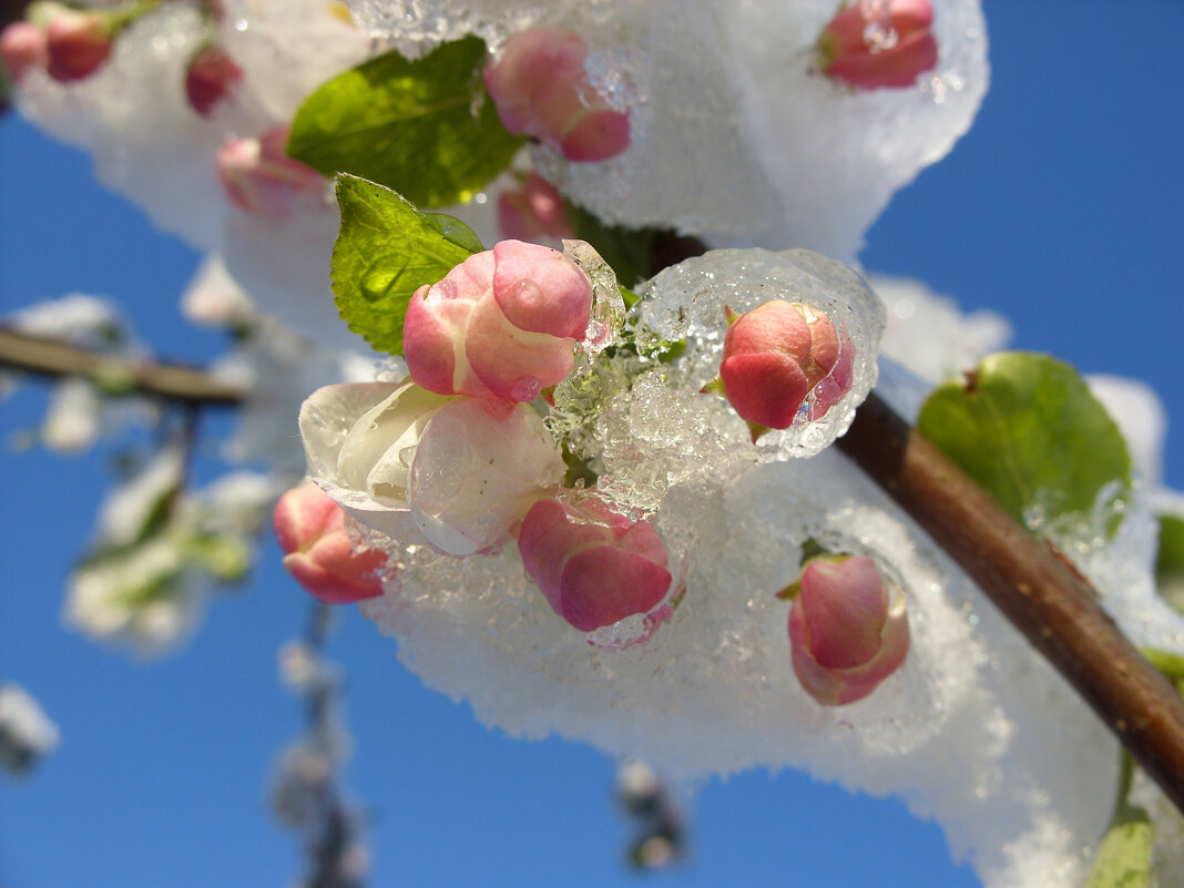 *   *   * - Уже не важно 