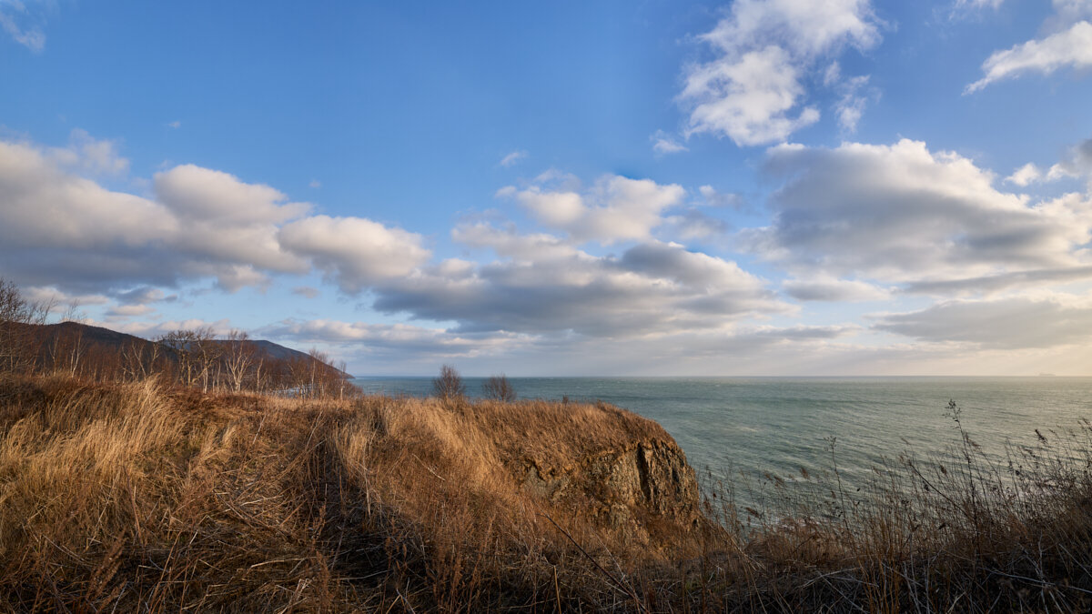 *** - Oleg4WD *** - Oleg4WD