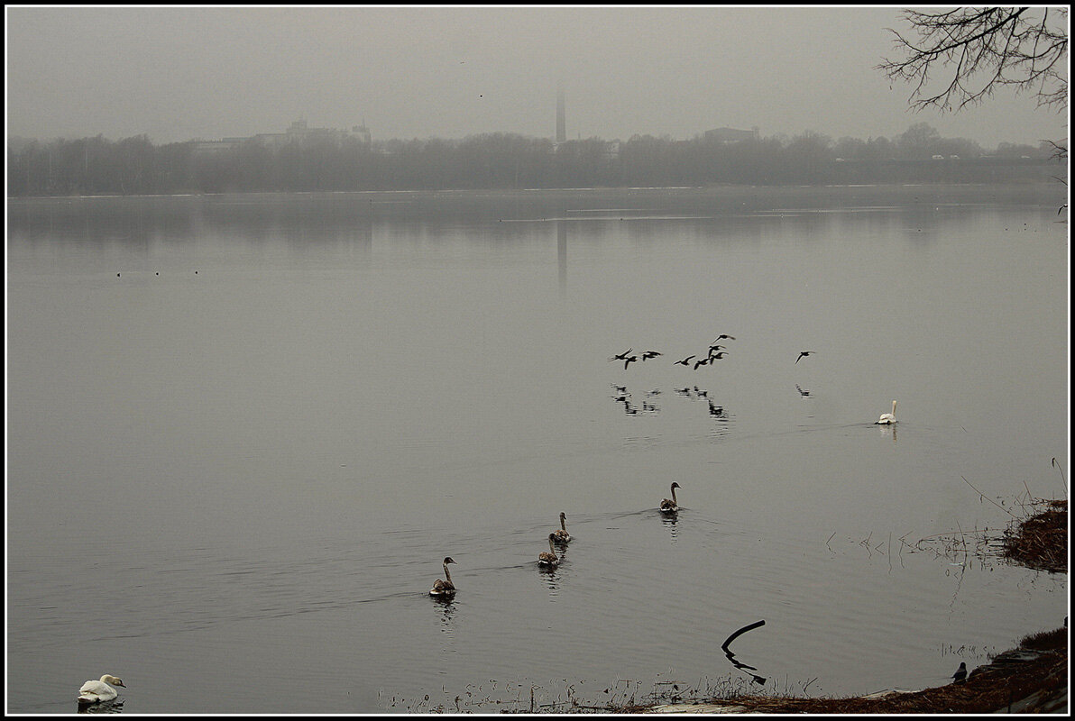 *** - Aleksandr Gal *** - Aleksandr Gal