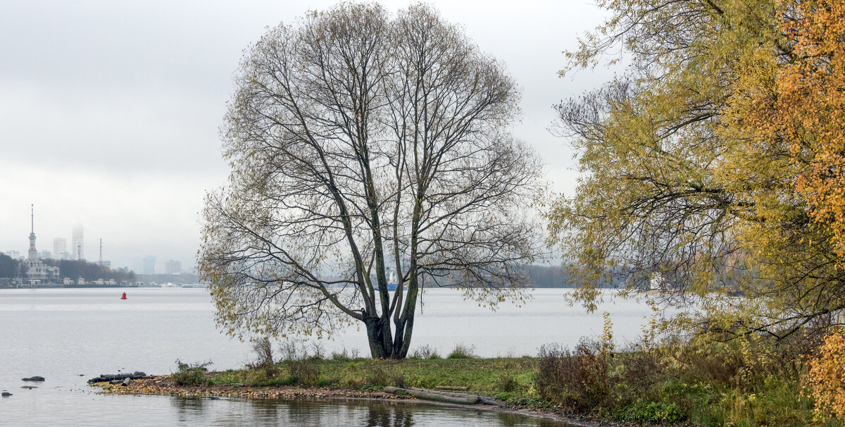 *** - Владимир Безбородов