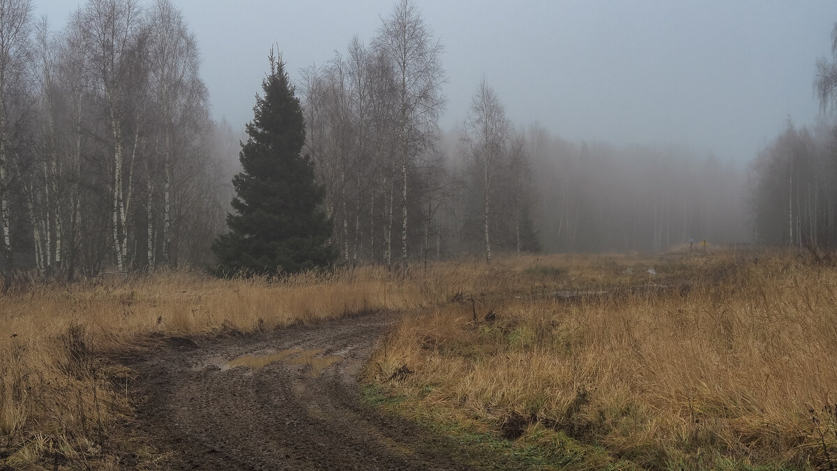 Осенний Сюжет - юрий поляков