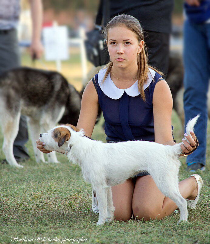 Юный хендлер. - Светлана Ищенко