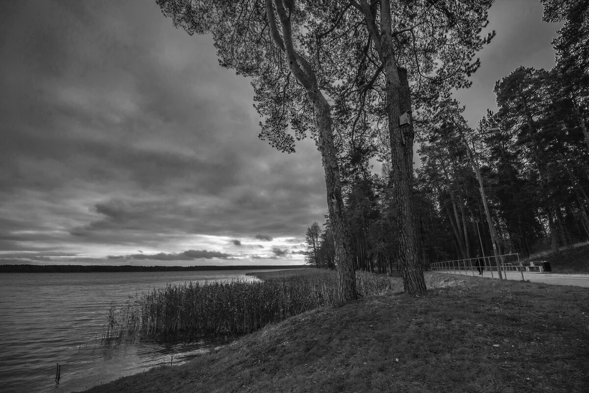 б/н - Николай б/н - Николай