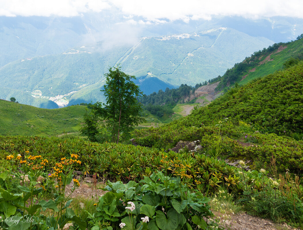 Райские места - Сергей Алексеевич Митянин