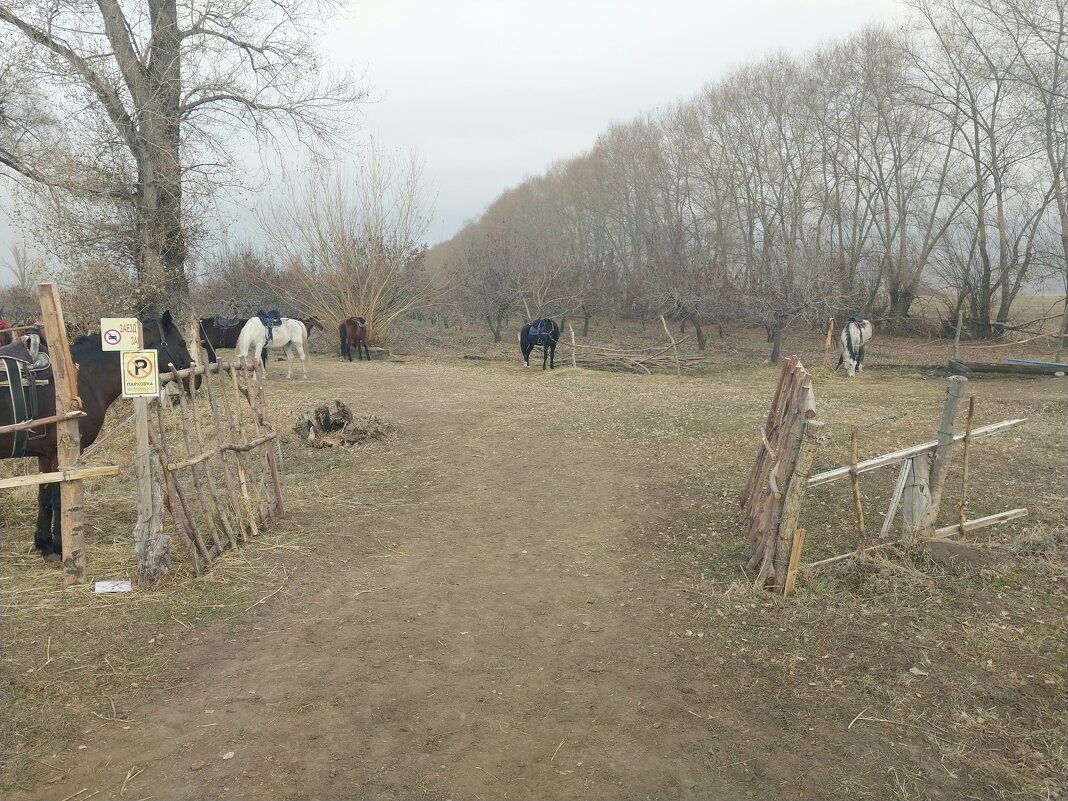 Talgar. - Murat Bukaev 