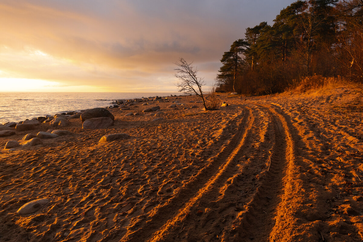 * - Светлана Воробьева