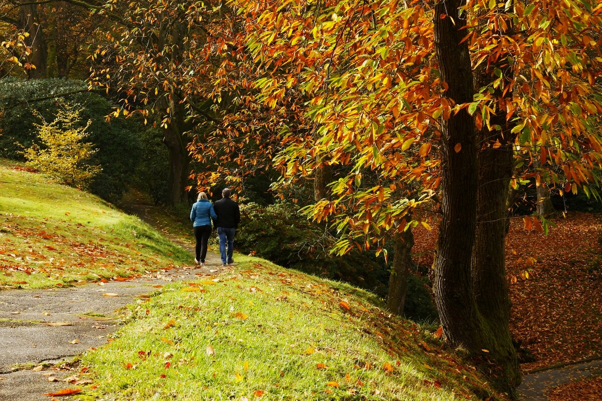 Романтика - Юрий. Шмаков
