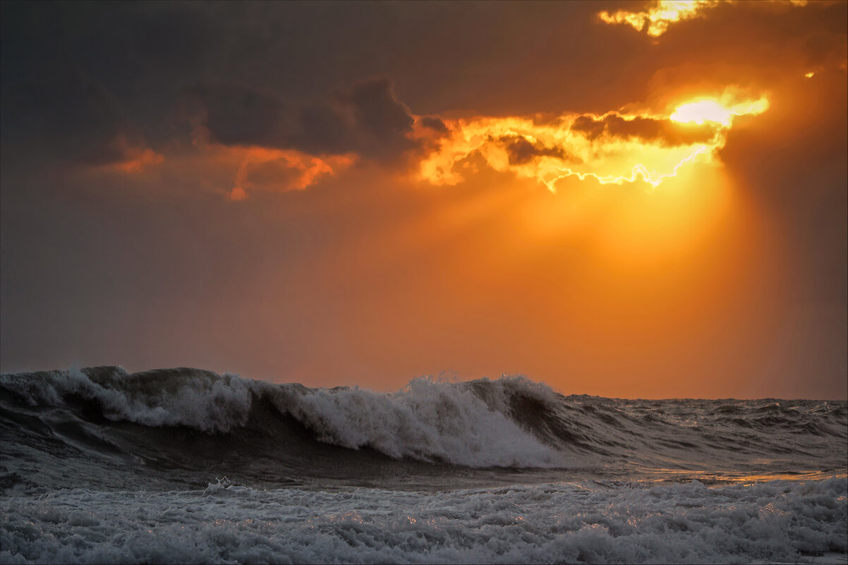 Море. - Александр. AVG100 --- Море. - Александр. AVG100 ---