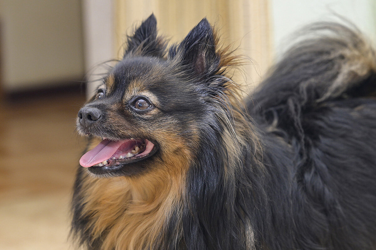 Добрый Чарлик - Римма Волченко Добрый Чарлик - Римма Волченко