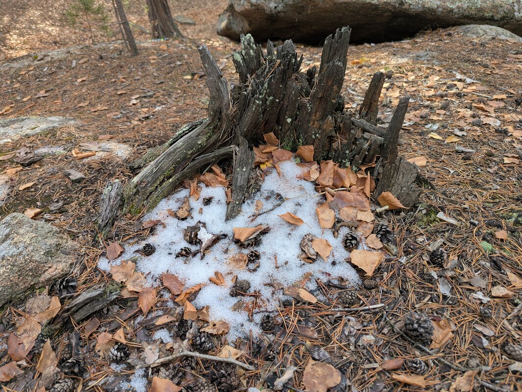 Сказочная страна - Андрей Хлопонин Сказочная страна - Андрей Хлопонин