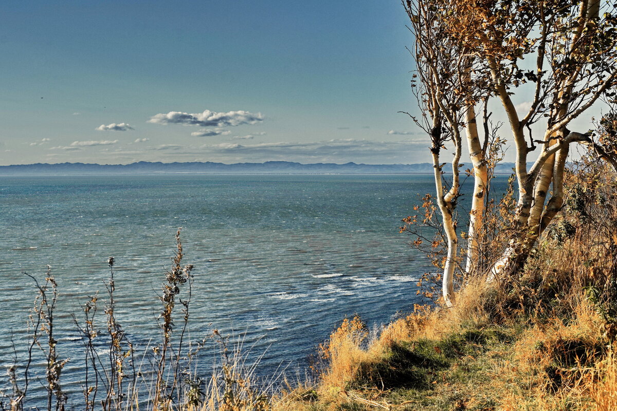 Дальние берега Анивского залива. - fillarret-2 