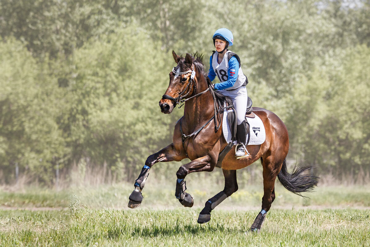 Кросс - SanSan Кросс - SanSan