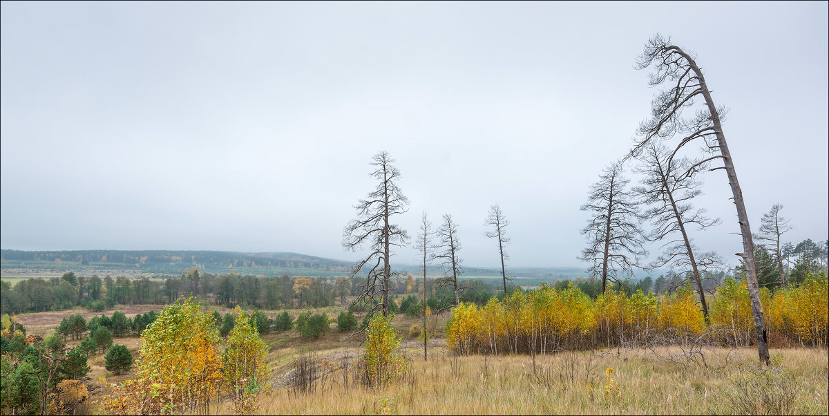 Осень - **** vedin Осень - **** vedin