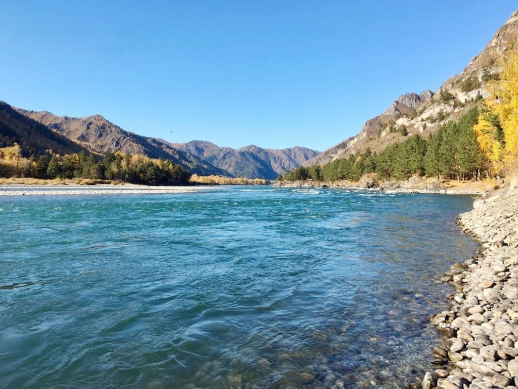Алтай, река Катунь - Галина Нестратова