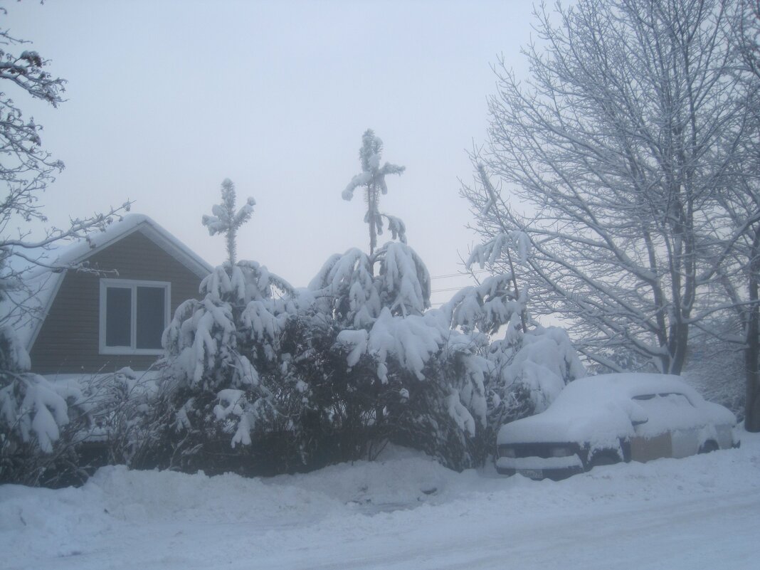 Зимой в с..Заворово - Елена Семигина Зимой в с..Заворово - Елена Семигина