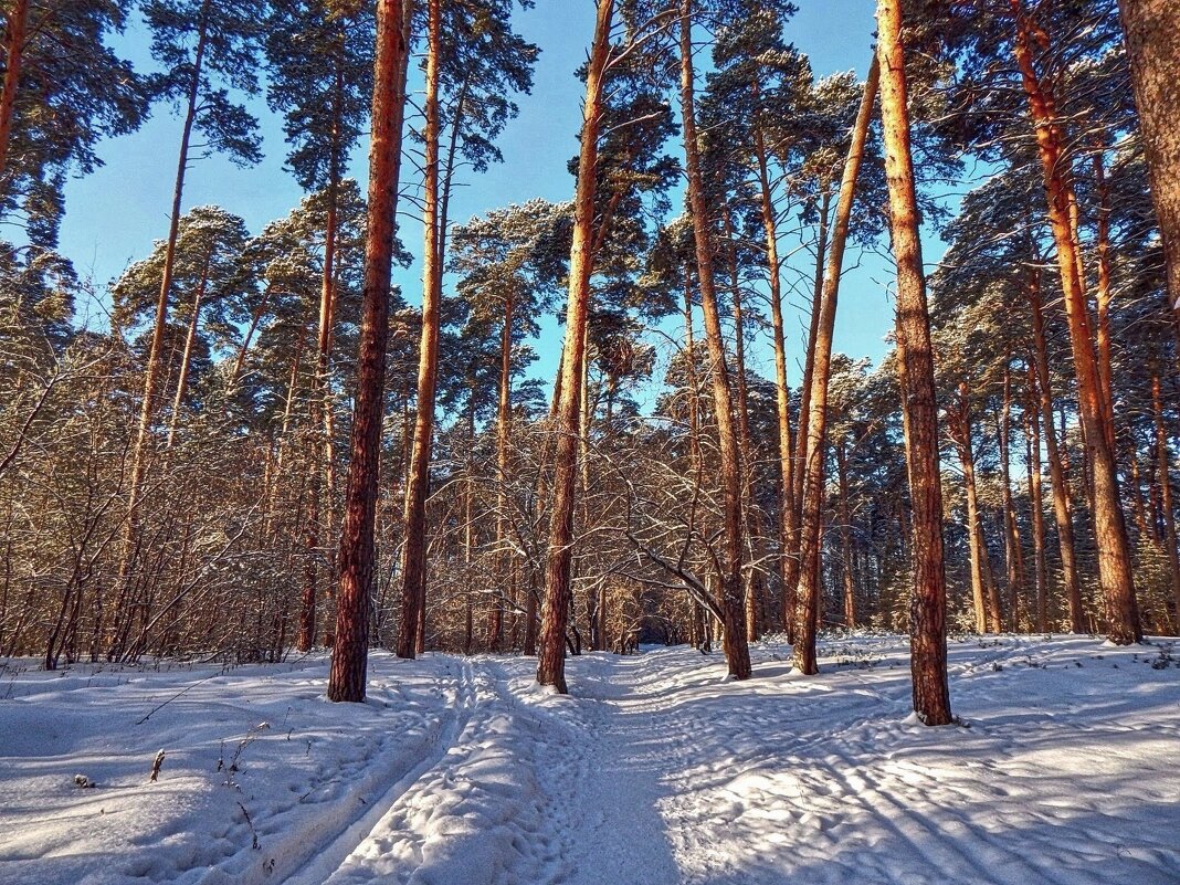 Тропа здоровья! - Елена Хайдукова  ( Elena Fly )