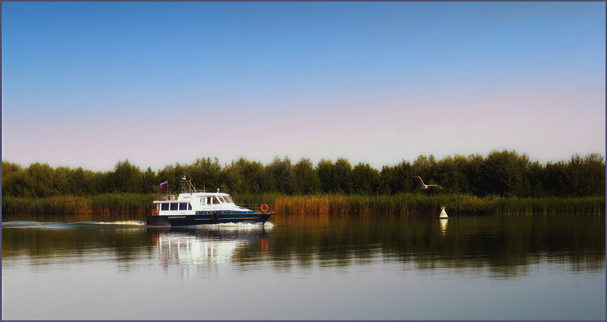 На Дону. - Александр. AVG100 --- На Дону. - Александр. AVG100 ---