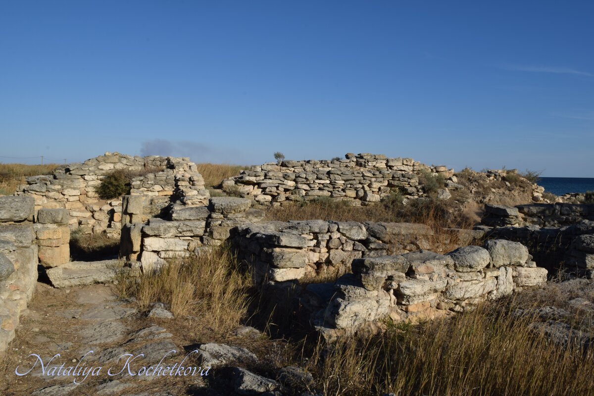 Природа Крыма - Amazing Cosmea