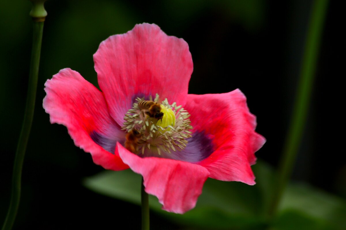 Доброе утро - Юрий. Шмаков Доброе утро - Юрий. Шмаков