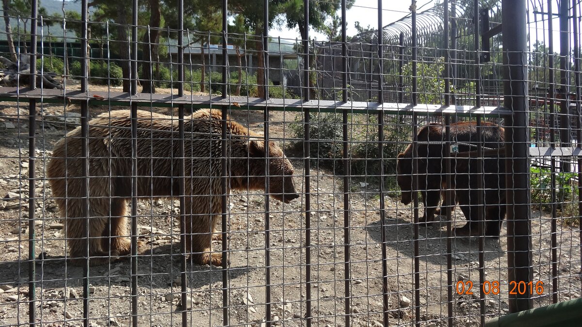 НЕВОЛЯ - СЕРГЕЙ ФИЛОЧКИН НЕВОЛЯ - СЕРГЕЙ ФИЛОЧКИН
