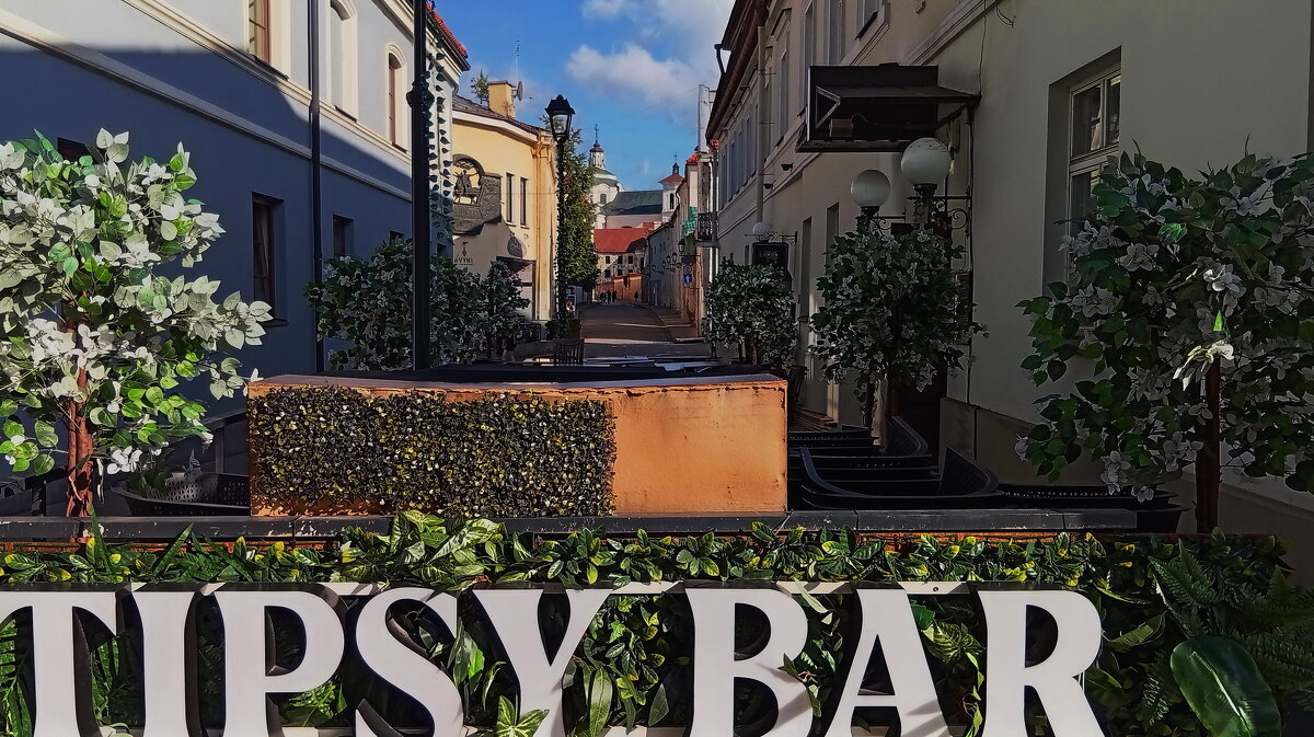 Vilnius..однажды летом - Татьян@ Ивановна