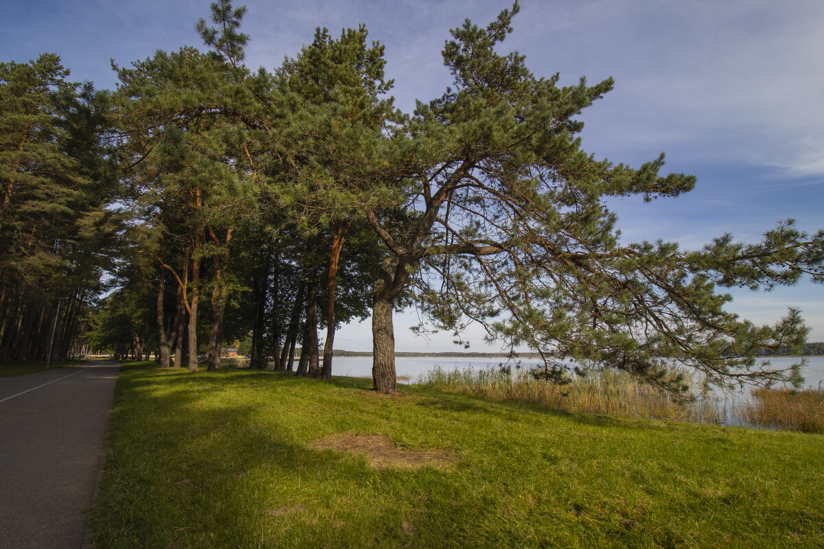 Б/Н - Николай Б/Н - Николай